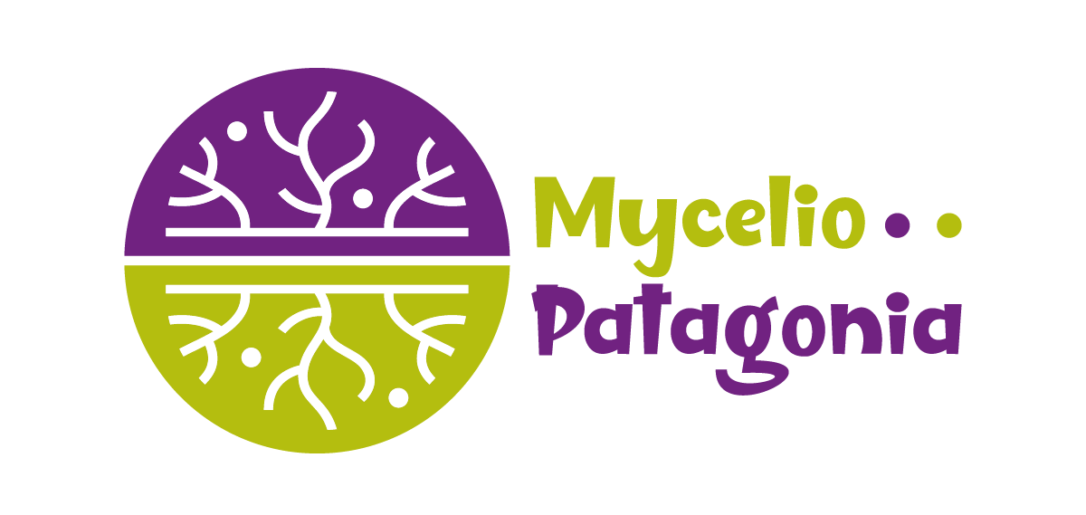 Mycelio Patagonia